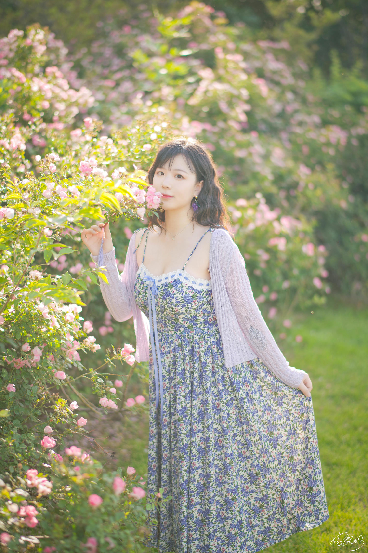 皮皮奶 - 蔷薇花 [37P]