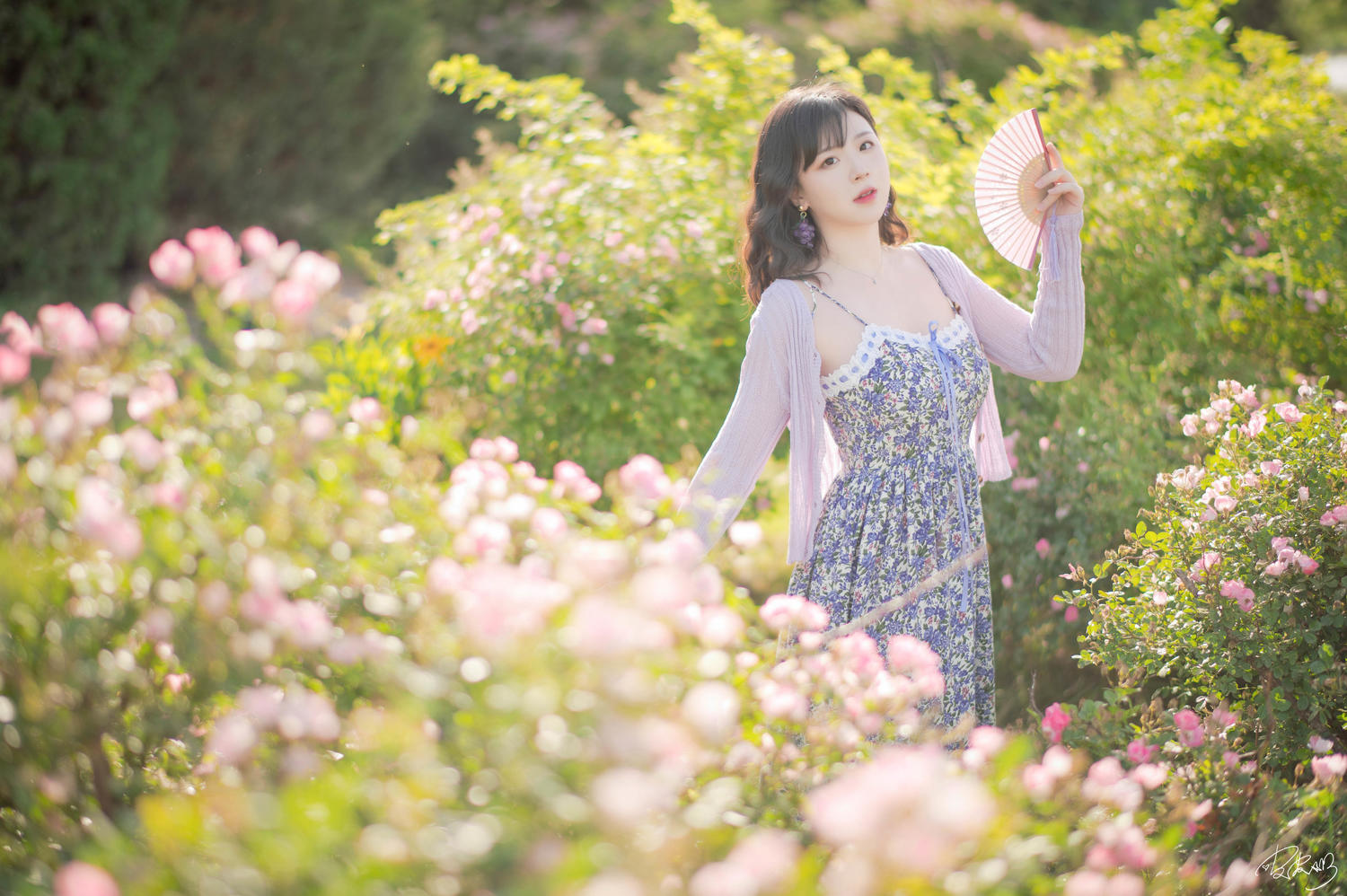 皮皮奶 - 蔷薇花 [37P]