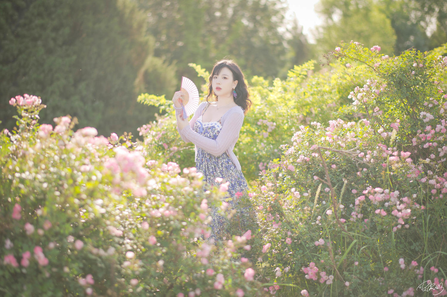 皮皮奶 - 蔷薇花 [37P]