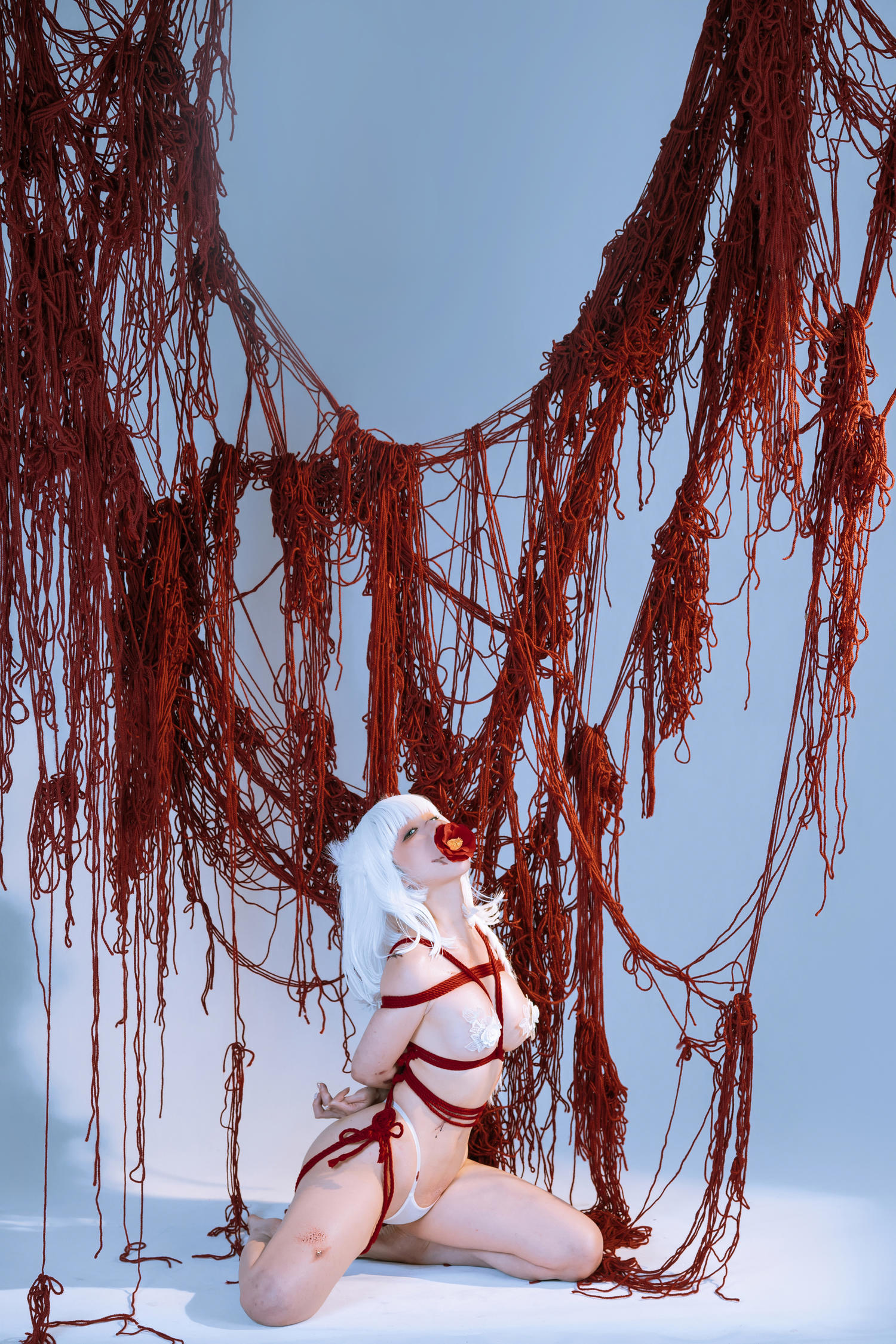 蠢沫沫 折翼 [62P-752MB]