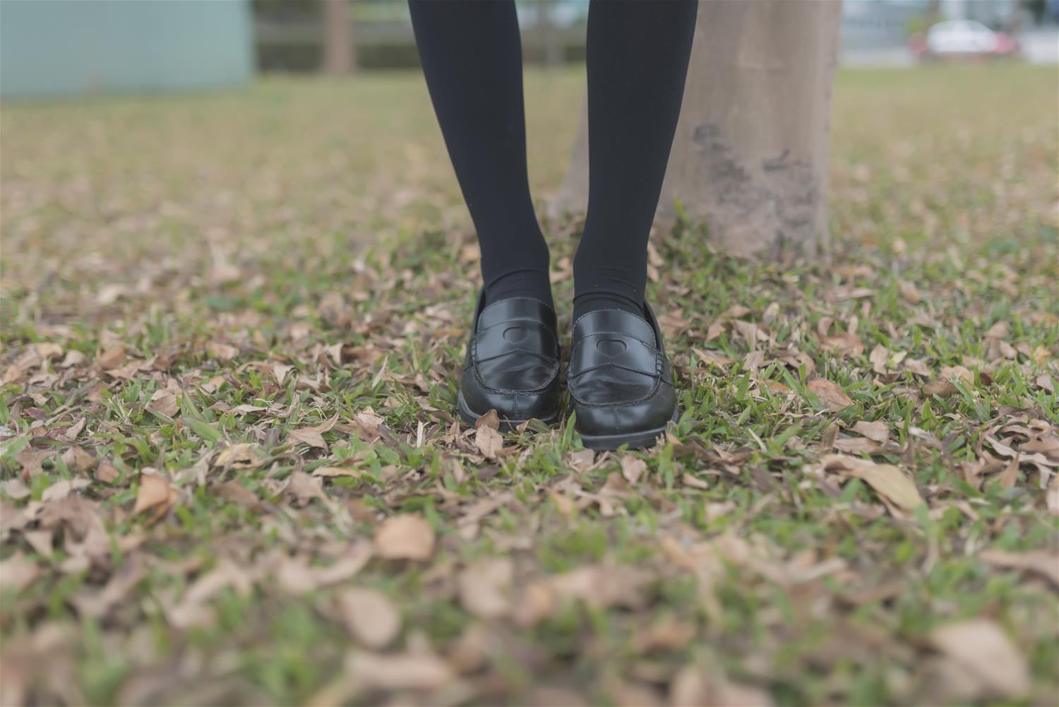 风之领域 NO.021 学妹户外黑丝 [50P-154MB]