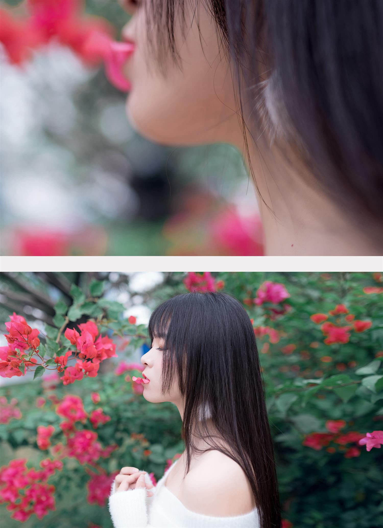 风之领域 NO.197 香肩上的花瓣 [52P-591MB]